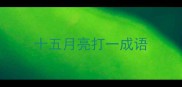 十五月亮打一成语
