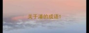 关于潘的成语