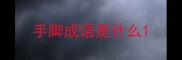 手脚成语是什么