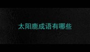 太阳鹿成语有哪些