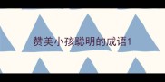 赞美小孩聪明的成语
