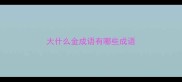 大什么金成语有哪些成语