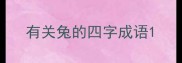 有关兔的四字成语