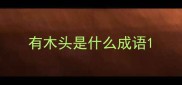 有木头是什么成语