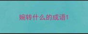婉转什么的成语