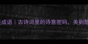 10个意境绝美成语古诗词里的诗意密码美到想抄进备忘录