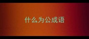什么为公成语