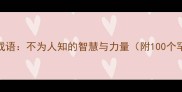 冷门四字成语不为人知的智慧与力量附100个罕见成语