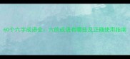 60个六字成语全六的成语有哪些及正确使用指南