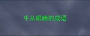 牛从眼睛的成语