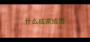 什么成家成语