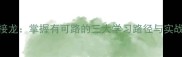 成语接龙掌握有可路的三大学习路径与实战技巧