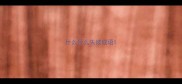 什么什么失彼成语