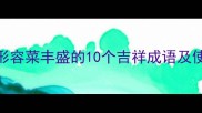 宴席上形容菜丰盛的10个吉祥成语及使用场景