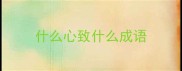 什么心致什么成语