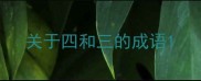 关于四和三的成语