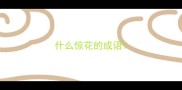 什么惊花的成语