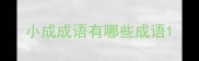 小成成语有哪些成语