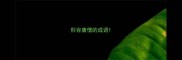 形容唐僧的成语