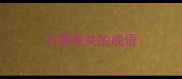 与雾有关的成语