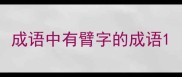 成语中有臂字的成语