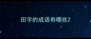 田字的成语有哪些