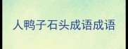 人鸭子石头成语成语