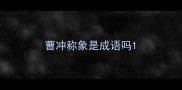 曹冲称象是成语吗