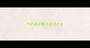 气的成语哪些成语大全