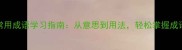 100个常用成语学习指南从意思到用法轻松掌握成语精髓