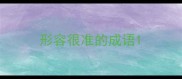 形容很准的成语