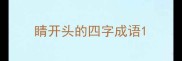 睛开头的四字成语