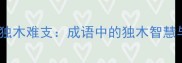 独木成林vs独木难支成语中的独木智慧与深层含义