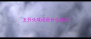 五开头成语是什么成语