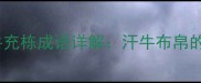 成语百科汗牛充栋成语详解汗牛布帛的由来与寓意