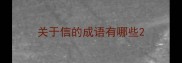 关于信的成语有哪些