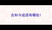 古和今成语有哪些
