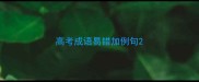 高考成语易错加例句