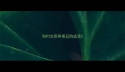 和时光荏苒相近的成语