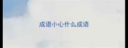 成语小心什么成语