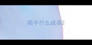 顺手什么成语