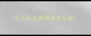 什么什么用成语怎么说