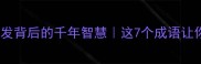 猜猜看整装待发背后的千年智慧这7个成语让你秒变表达王者