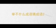 举不什么成语猜成语