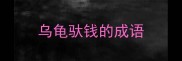 乌龟驮钱的成语