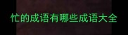 忙的成语有哪些成语大全