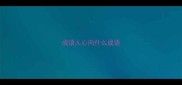 成语人心向什么成语