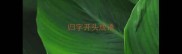 归字开头成语