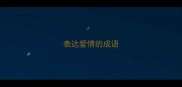 表达爱情的成语