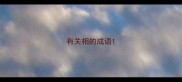 有关相的成语